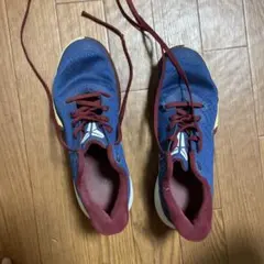 Nike Kobe バスケットボールシューズ　25センチのサムネイル