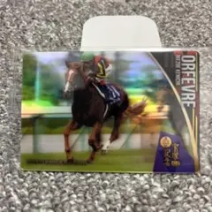 オルフェーヴル 宝塚記念 競馬カード サラブレッドホースコレクション