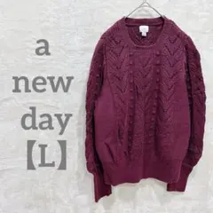 ⚫︎a new day 【L】編み込みニット バーガンディ 透かし編みのサムネイル