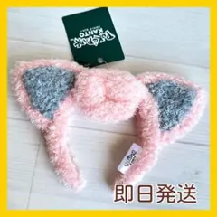即日発送タグ付き新品プリン ポケパークカントー購入カチューシャ ポケモンセンターのサムネイル