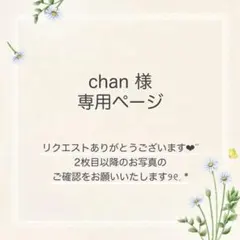 chan様 おまとめ15点