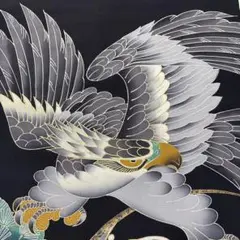 着物はぎれ 正絹 鷹琵琶 黒地 108cm