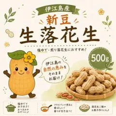 【新豆】生落花生