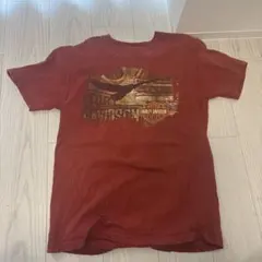 Harley-Davidson Tシャツのサムネイル