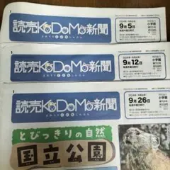 2025年最新】読売新聞の人気アイテム - メルカリ