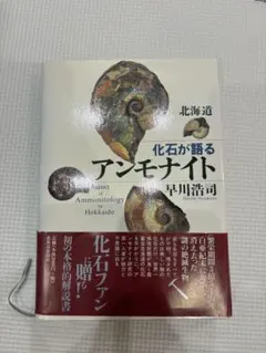 2026年最新】北海道アンモナイト 化石の人気アイテム - メルカリ