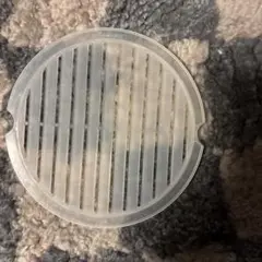 Item thumbnail for item cfac8daf-45f0-414b-9f27-05013117ffe3