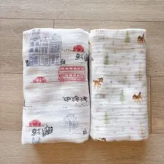 Disney Baby aden + anais おくるみ 2枚セット