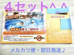 ☆サマーランド株主優待券　4枚^ ^☆のサムネイル