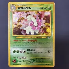 メガニウム_プレミアムファイル PROMO 第1世代 1996~1999 旧裏
