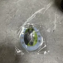 Item thumbnail for item a06a55c6-ec4a-4d71-aa99-92ff7bd224c7