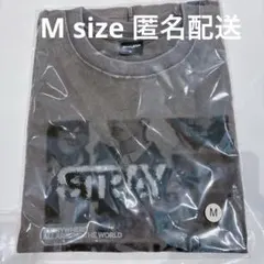 Stray Kids フォトTシャツ Mサイズ　⭐︎即日配送可能⭐︎匿名配送 Stray Kids フォトTシャツ Mサイズ ⭐︎即日配送可能⭐︎匿名配送