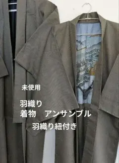 メンズ着物 羽織 2点セット 紬地 風景画裏地 アンサンブル ☆羽織り 