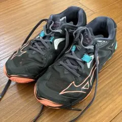 Mizuno バレーボールシューズ ウェーブライトニングZ8
