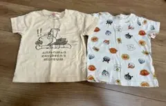 アンパンマンミュージアム限定　Tシャツ　90cm 2枚セット　半袖