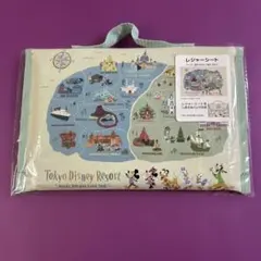 東京ディズニーリゾート レジャーシート バッグ付き（傷あり）