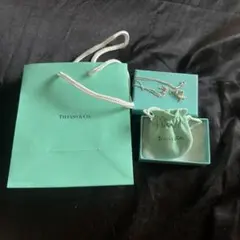 Tiffany&Co. シルバー 925 エナメル トラベルグローブ キーリング