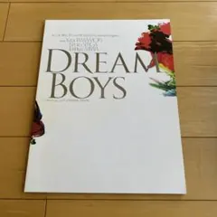 DREAM BOYS パンフレット