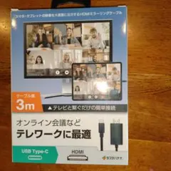 USB Type-C HDMIケーブル 3m 4K対応 未開封