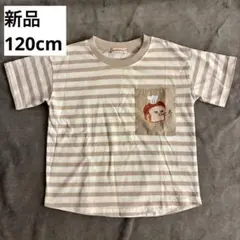新品　未使用　パンどろぼう Tシャツ 120cm 半袖　ボーダー　しまむら