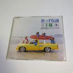 王様/浜っ子伝説～ビーチボーイズ日本語直訳メドレー
