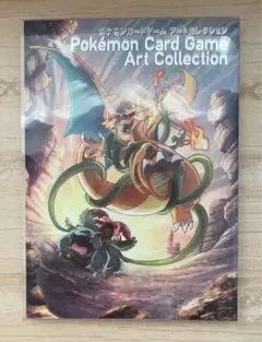 ポケモンカードゲーム　アートコレクション　初版/ケースあり/帯なし/カードなし ポケモンカードゲーム アートコレクション 初版/ケースあり/帯