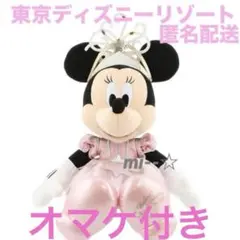 東京ディズニーシー ビリーヴシーオブドリームス ミニーちゃん ぬいぐるみ