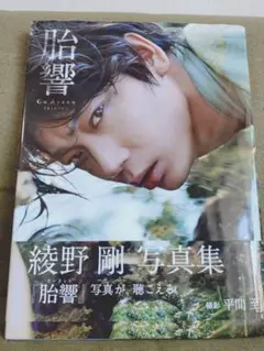 綾野剛写真集　2冊セット Amazon.co.jp: 綾野剛 写真集 『 胎響 』 : 平間 至: 本