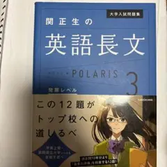 大学入試問題集 関正生の英語長文ポラリス[3 発展レベル]