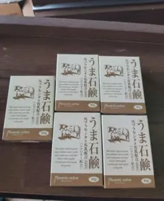 Item thumbnail for item fb49d50a-eef9-4d11-81c5-5fc31ff4c873