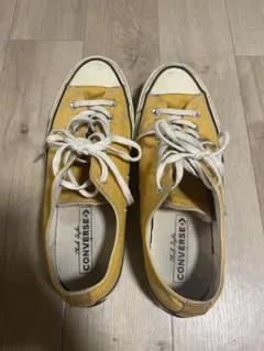 CT70 サンフラワー 27cm