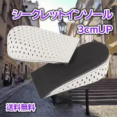 シークレットインソール 中敷き インソール 身長アップ 3㎝ 男女兼用