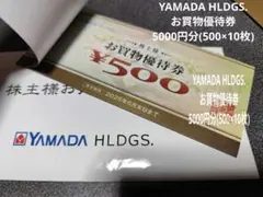 YAMADA HLDGS. お買物優待券✭5000円分✭6月末(500×10枚)