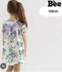 Item thumbnail for item ef0a2ae1-908a-436b-9412-7df76629c7ec