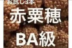 Item thumbnail for item 09555f7d-665f-404e-b03f-47dc56e81442