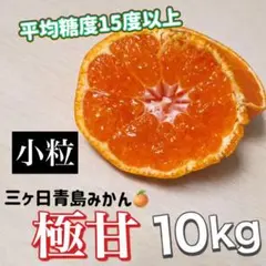 【甘さ保証】三ヶ日青島みかん｜平均糖度15度以上｜小粒2S-S｜産地直送10kg