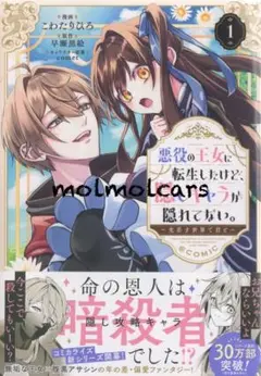 悪役の王女に転生したけど、隠しキャラが隠れてない。～光差す世界で君と～（1）