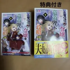 やり直し令嬢は竜帝陛下を攻略中 9