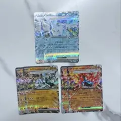 オーガポン　各2枚セット