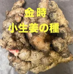 よっしー様 リクエスト 2点 まとめ商品