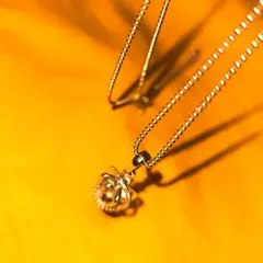 Item thumbnail for item b876ff08-64e6-4d8e-9cb3-6005f176962c