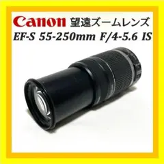 Item thumbnail for item 84a0853c-1f6d-47a7-bc82-540d2e42bff5