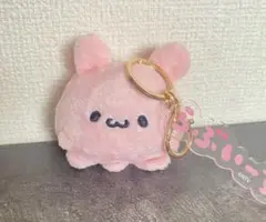 らぶいーず ぴょんちー