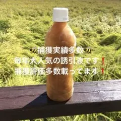 日本蜜蜂誘引液　ミツバチ　ルアー 分蜂 養蜂 蜜蝋 誘引剤 キンリョウヘン　捕獲