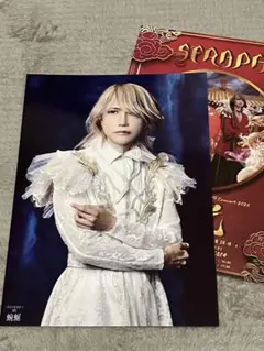 DIR EN GREY TOUR25蜿蜒 VIPお土産ポートレートShinya