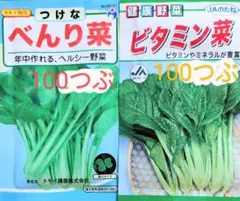 rikabonn様 リクエスト 2点 まとめ商品