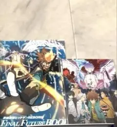 家庭教師ヒットマンREBORN! DVD FINAL FUTURE BOX - メルカリ