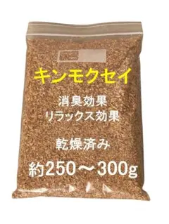 Item thumbnail for item 03414c61-757c-4728-931a-7b3cf4d01f6f