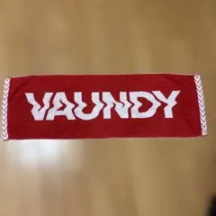 2026年最新】vaundy タオル レッドの人気アイテム - メルカリ