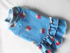 ★きのきのこ様専用★胴３８ｃｍ★いちごのフリフリワンピース